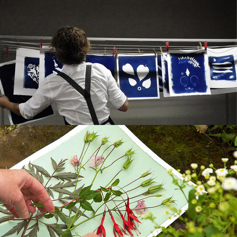 Cyanotype Set A5 Cyanotype Paper Refill | 10 Sheets | Advanced Trial Pack | For Bookmarks/Plant Specimens/Postcards