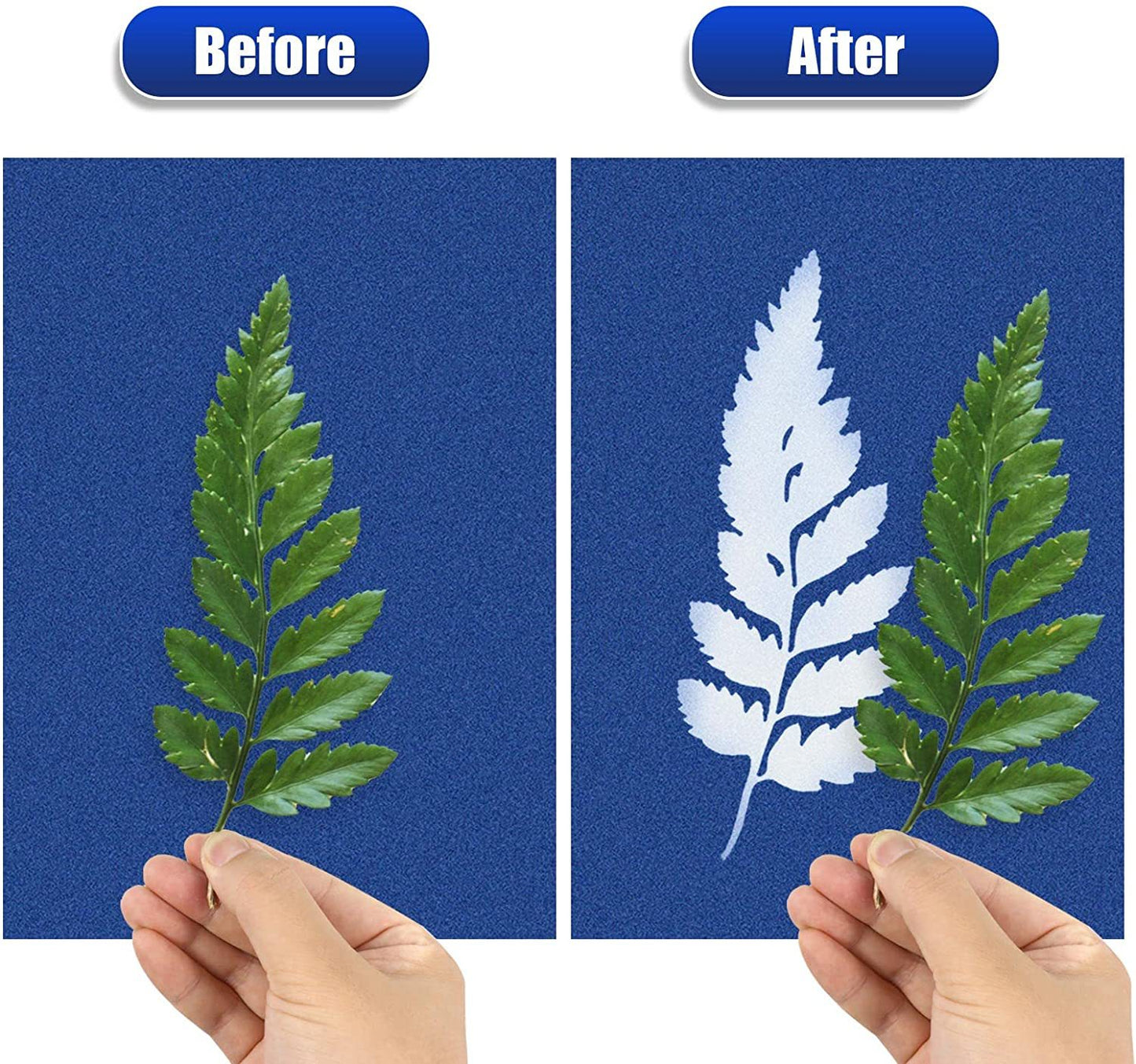 A6 Cyanotype Craft Kit Cyanotype Set | 4 Templates | Sun Printing Paper | For Parent-Child Activities/DIY Enthusiasts| For Bookmarks/Plant
