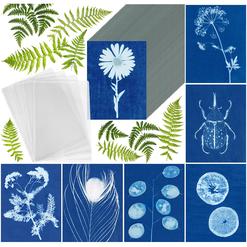 Cyanotype Set A6 Cyanotype Paper Refill | 5 Sheets | Lightweight Tasting Pack | For Bookmarks/Plant Specimens/Postcards| Exclusive for No Mass Stocking
