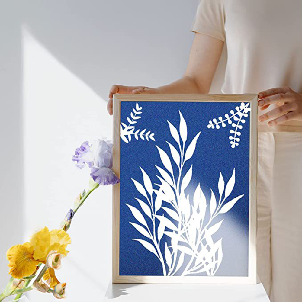 A4 Cyanotype Craft Kit Cyanotype Set | Sun Art Paper | 2 Cyanotype Sheets | For Photography/DIY Enthusiasts