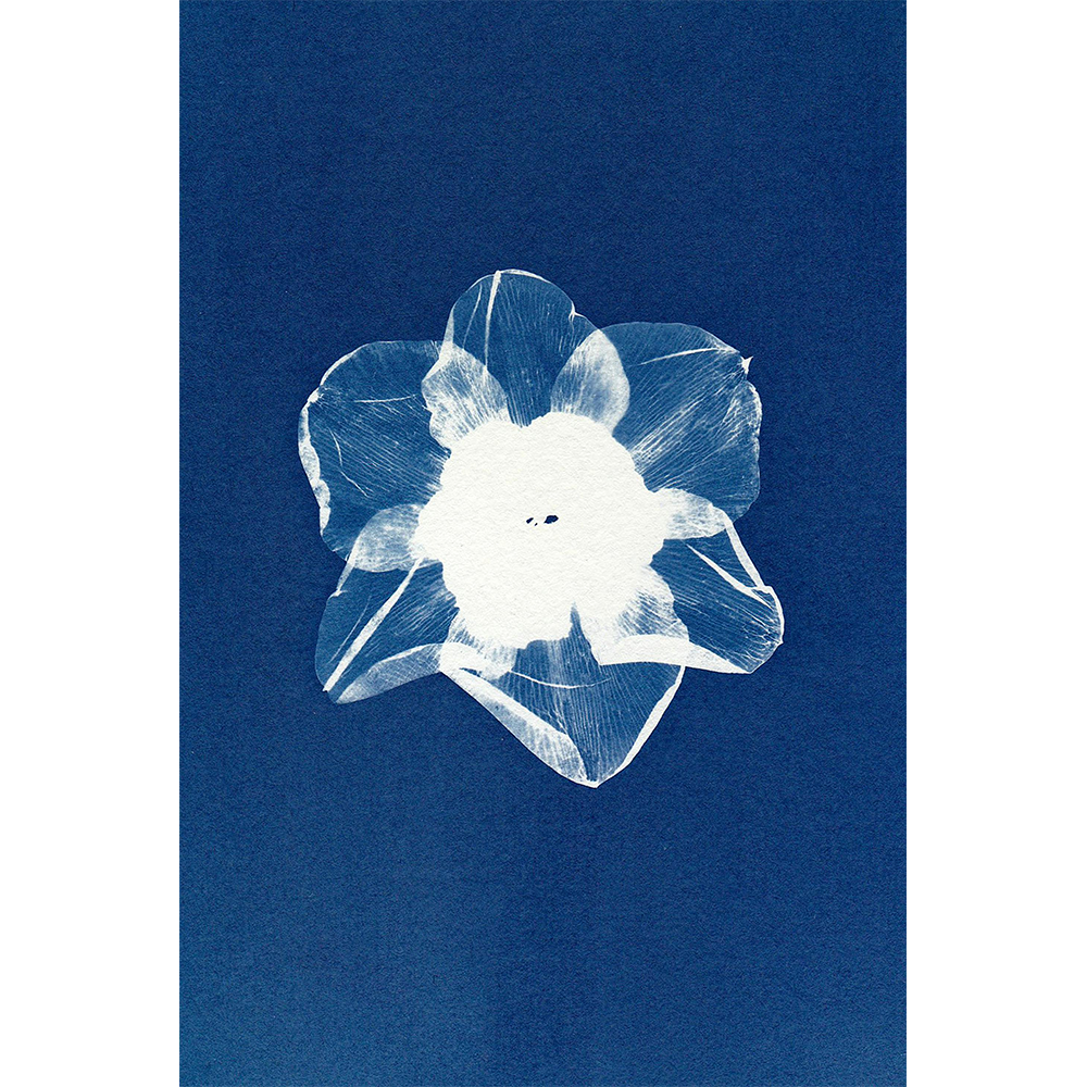 Cyanotype Set A4 Cyanotype Paper 50-Sheet Bulk Refill Sun Printing Paper DIY Supplies For Interest Classes/Stall Wholesale Large Creative Painting Making