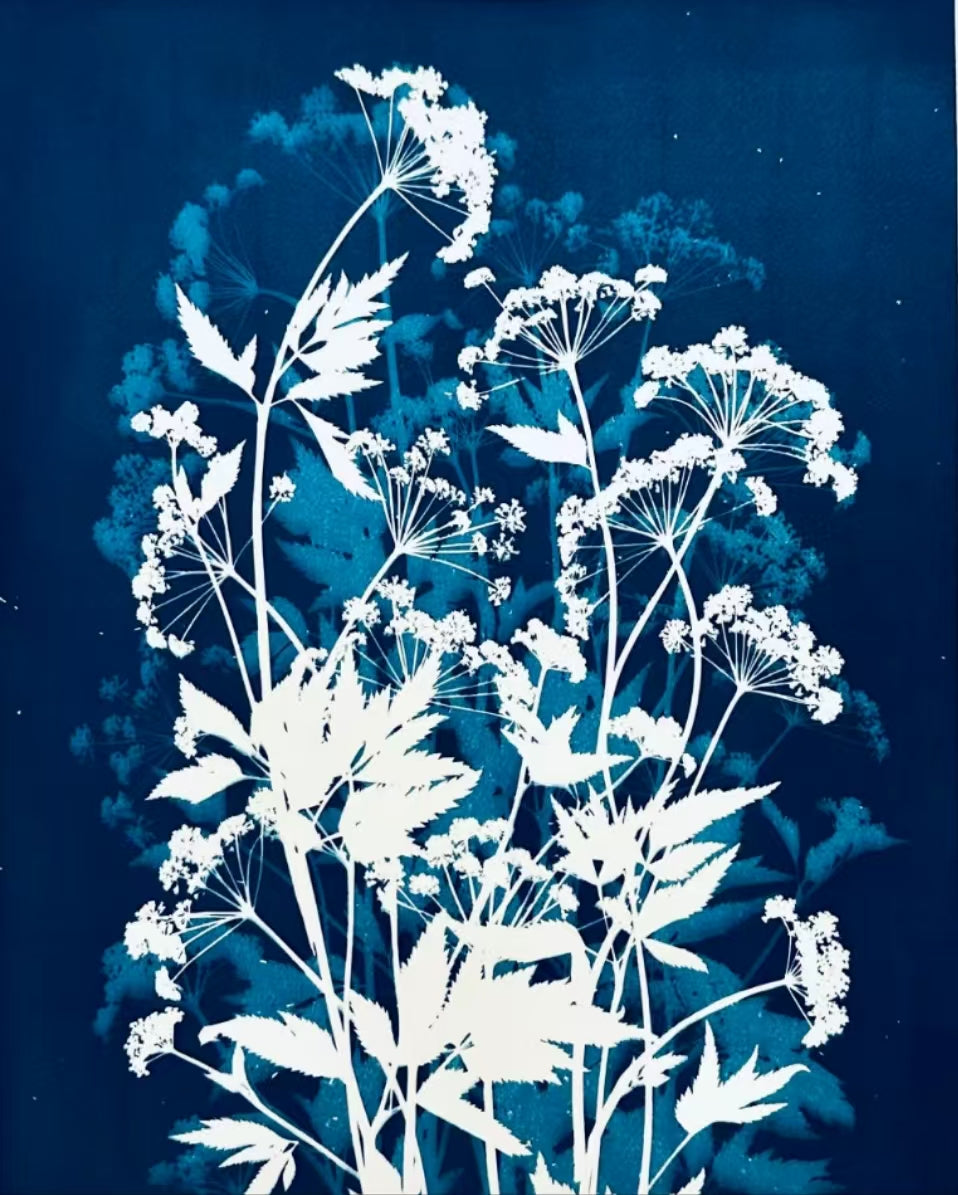 Cyanotype Set A4 Cyanotype Paper 50-Sheet Bulk Refill Sun Printing Paper DIY Supplies For Interest Classes/Stall Wholesale Large Creative Painting Making