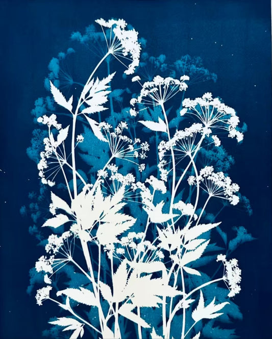 A4 Cyanotype Paper Refill (10 Sheets) Sun Printing DIY Kit Cyanotype Set Vintage Printing Craft Supplies Explore Sun Photography Mystery For Large Artworks