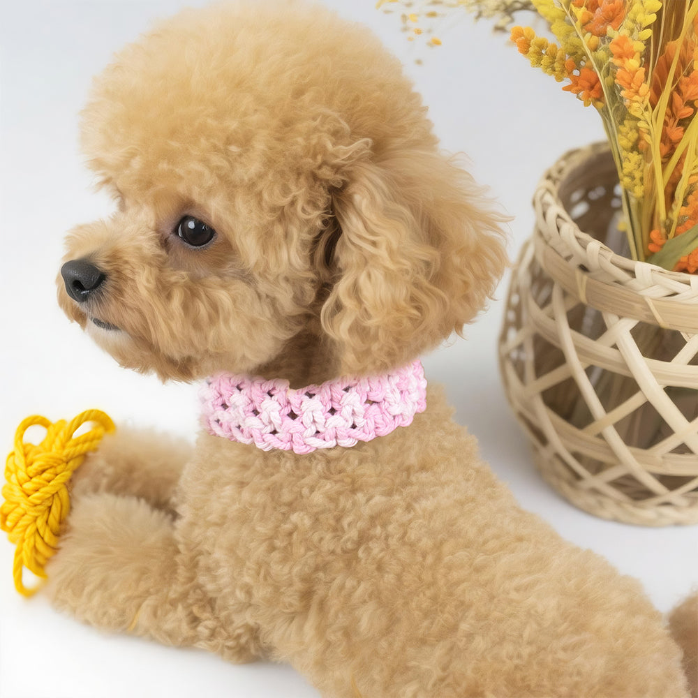 Square Pet Collar Weaving Kit Macrame Kit | Wide Style (Elegant & Cute) | Holiday DIY Handmade Gift | Beginner-Suitable
