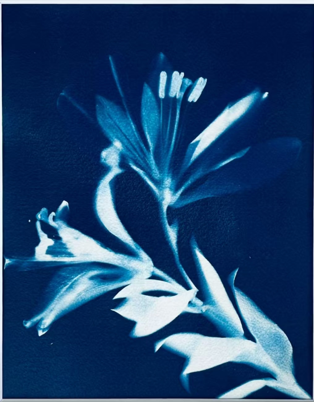 Cyanotype Set A5 Cyanotype Paper Refill (16 Sheets, Large Quantity) Sun Printing Paper DIY Supplies For Parent-Child Activities/Interest Classes Bookmark Specimen Postcard Making