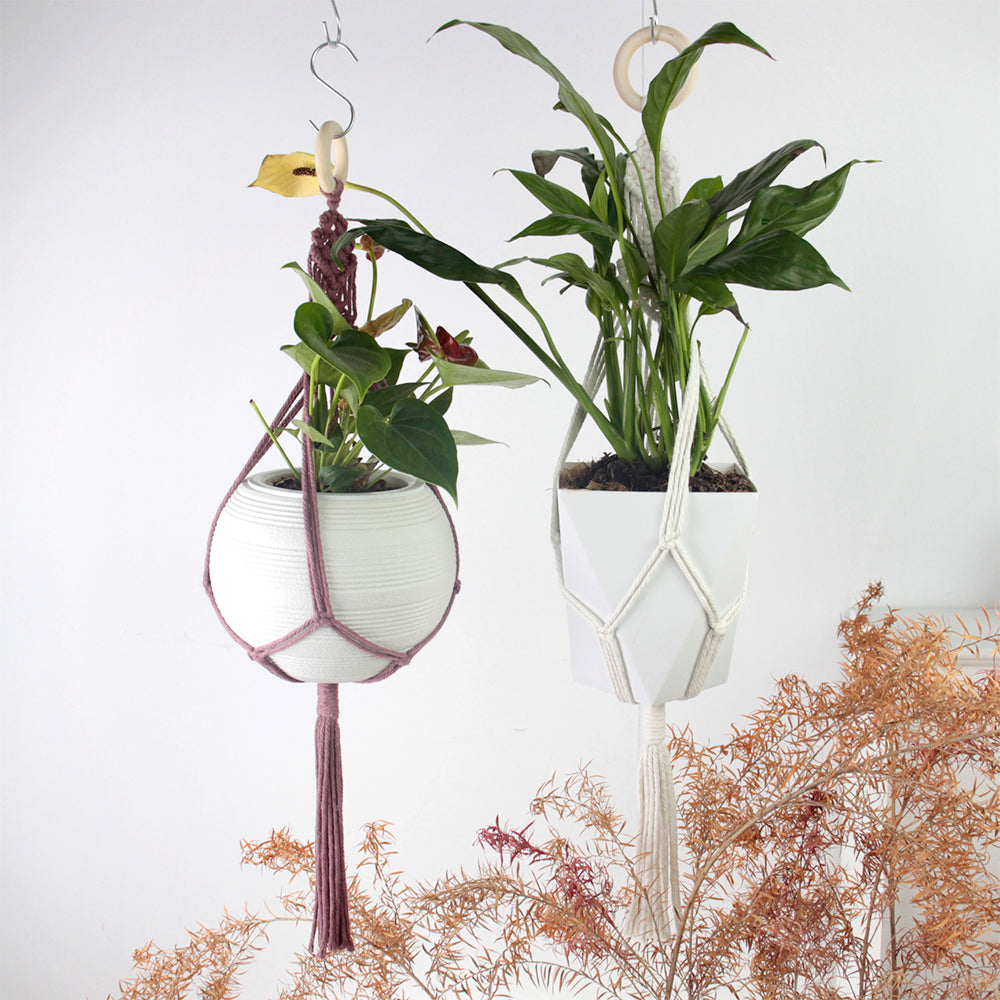 Macrame Kit Long Tassel Small Plant Hanger Weaving Kit | For Small-Medium Pots | Hanging Design | Space-Saving | Beginner-Friendly