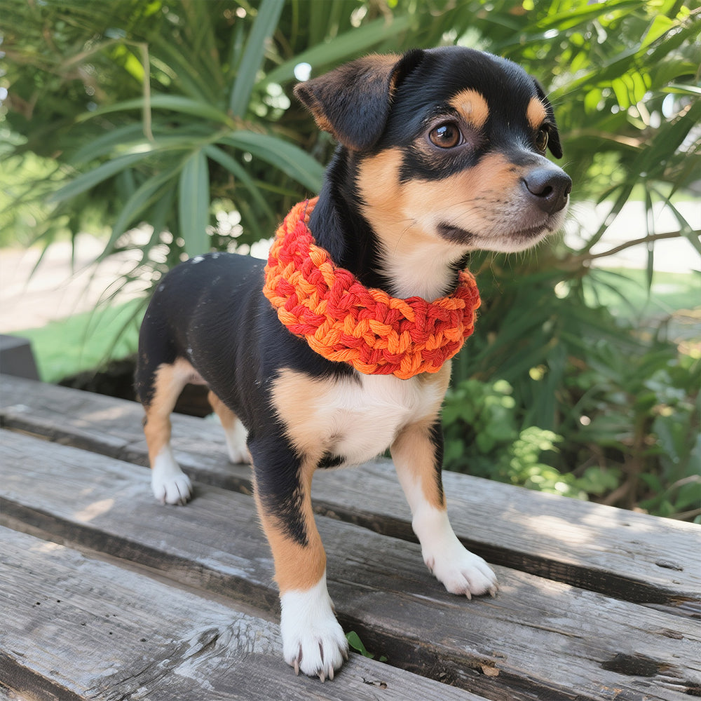 Square Pet Collar Weaving Kit Macrame Kit | Wide Style (Elegant & Cute) | Holiday DIY Handmade Gift | Beginner-Suitable