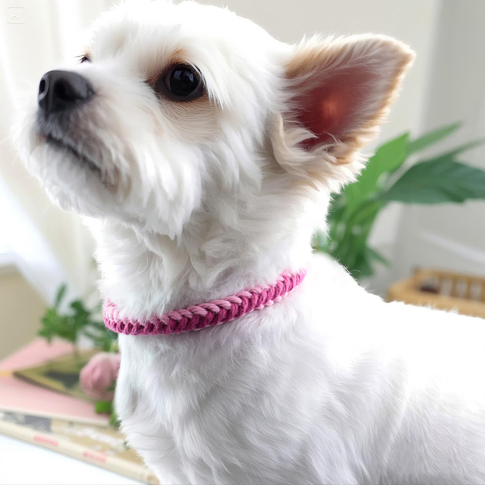 Macrame Kit 8-Strand Pet Collar Weaving Kit | 2-Color Intertwined | Adjustable Length | Pet Accessory | Beginner-Friendly