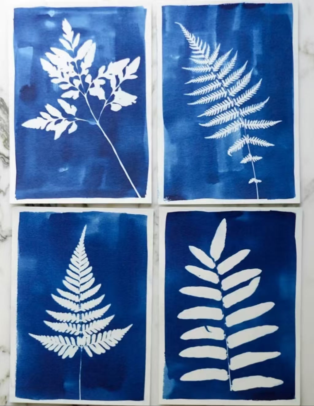 Cyanotype Set A6 Cyanotype Paper Refill | 5 Sheets | Lightweight Tasting Pack | For Bookmarks/Plant Specimens/Postcards| Exclusive for No Mass Stocking