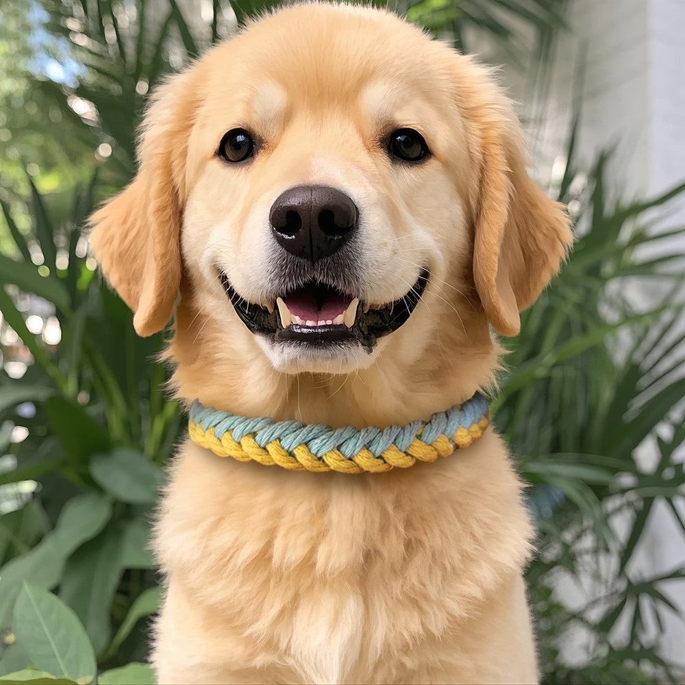 Macrame Kit 8-Strand Pet Collar Weaving Kit | 2-Color Intertwined | Adjustable Length | Pet Accessory | Beginner-Friendly