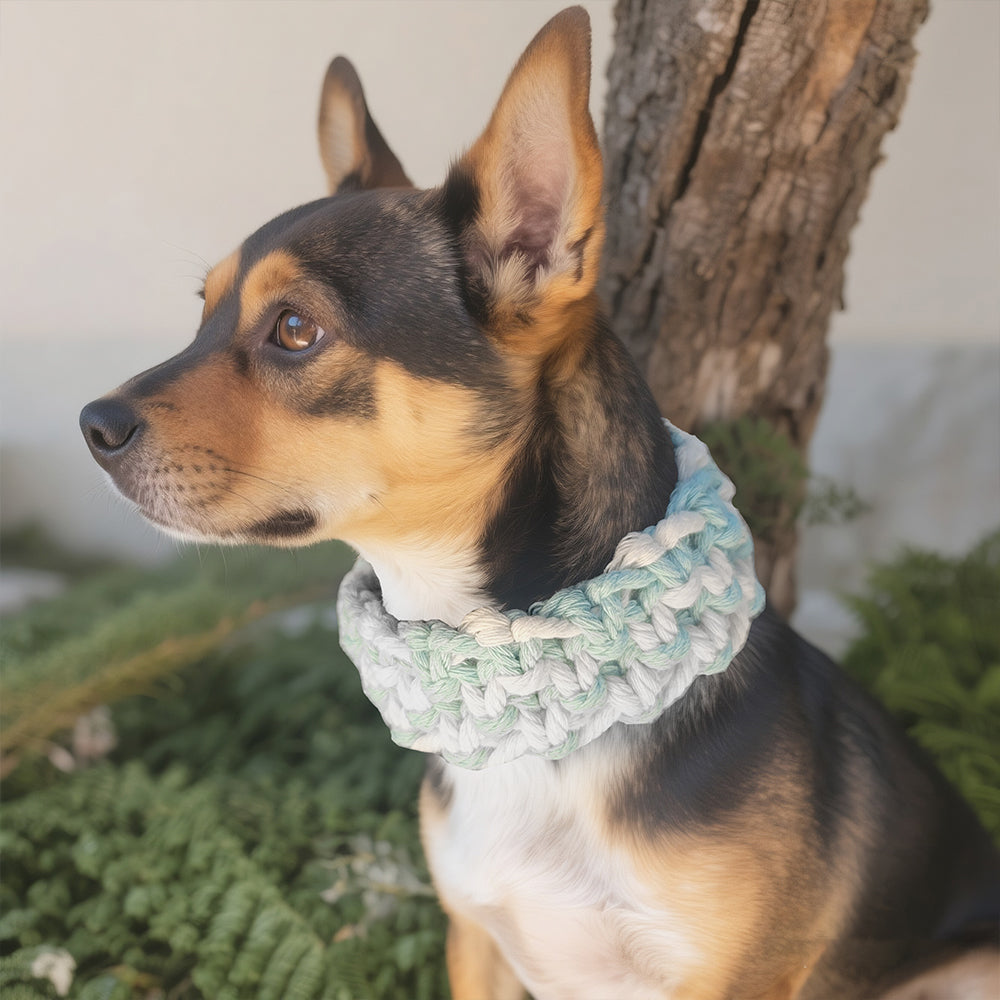 Square Pet Collar Weaving Kit Macrame Kit | Wide Style (Elegant & Cute) | Holiday DIY Handmade Gift | Beginner-Suitable