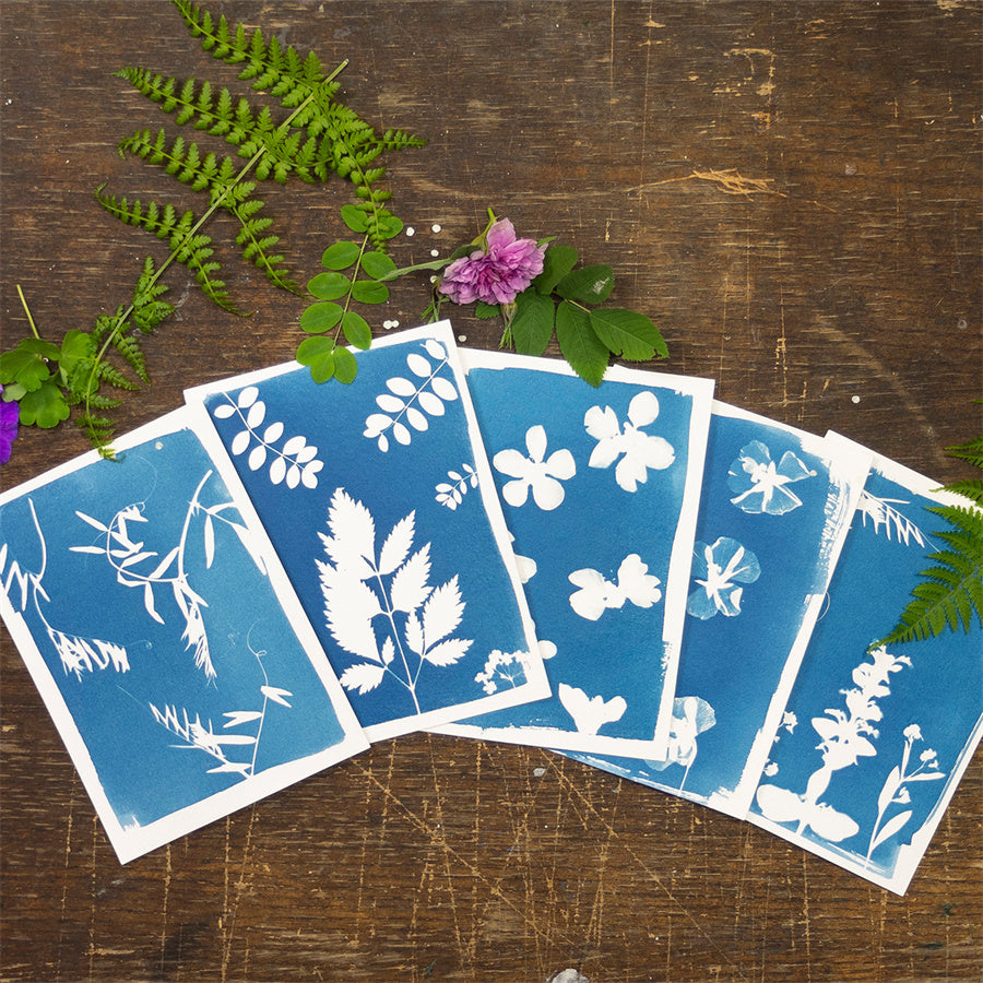 Cyanotype Set A5 Cyanotype Paper Refill | 10 Sheets | Advanced Trial Pack | For Bookmarks/Plant Specimens/Postcards