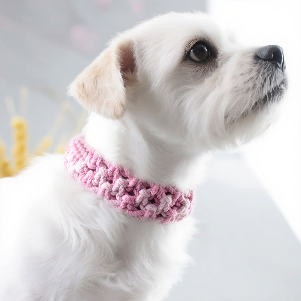 Square Pet Collar Weaving Kit Macrame Kit | Wide Style (Elegant & Cute) | Holiday DIY Handmade Gift | Beginner-Suitable