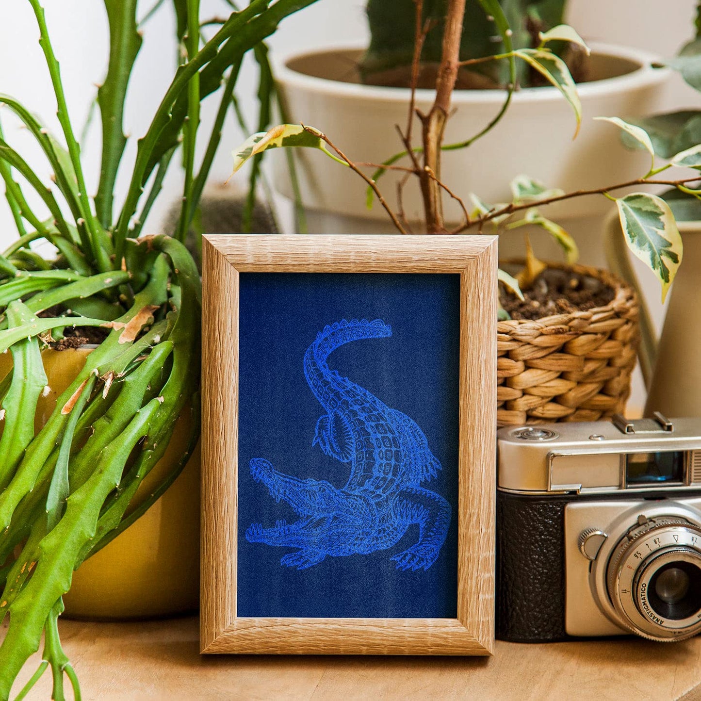 Cyanotype Set A6 DIY Cyanotype Refill | 12 Cyanotype Sheets | For Bookmarks/Postcards | Beginner-Friendly