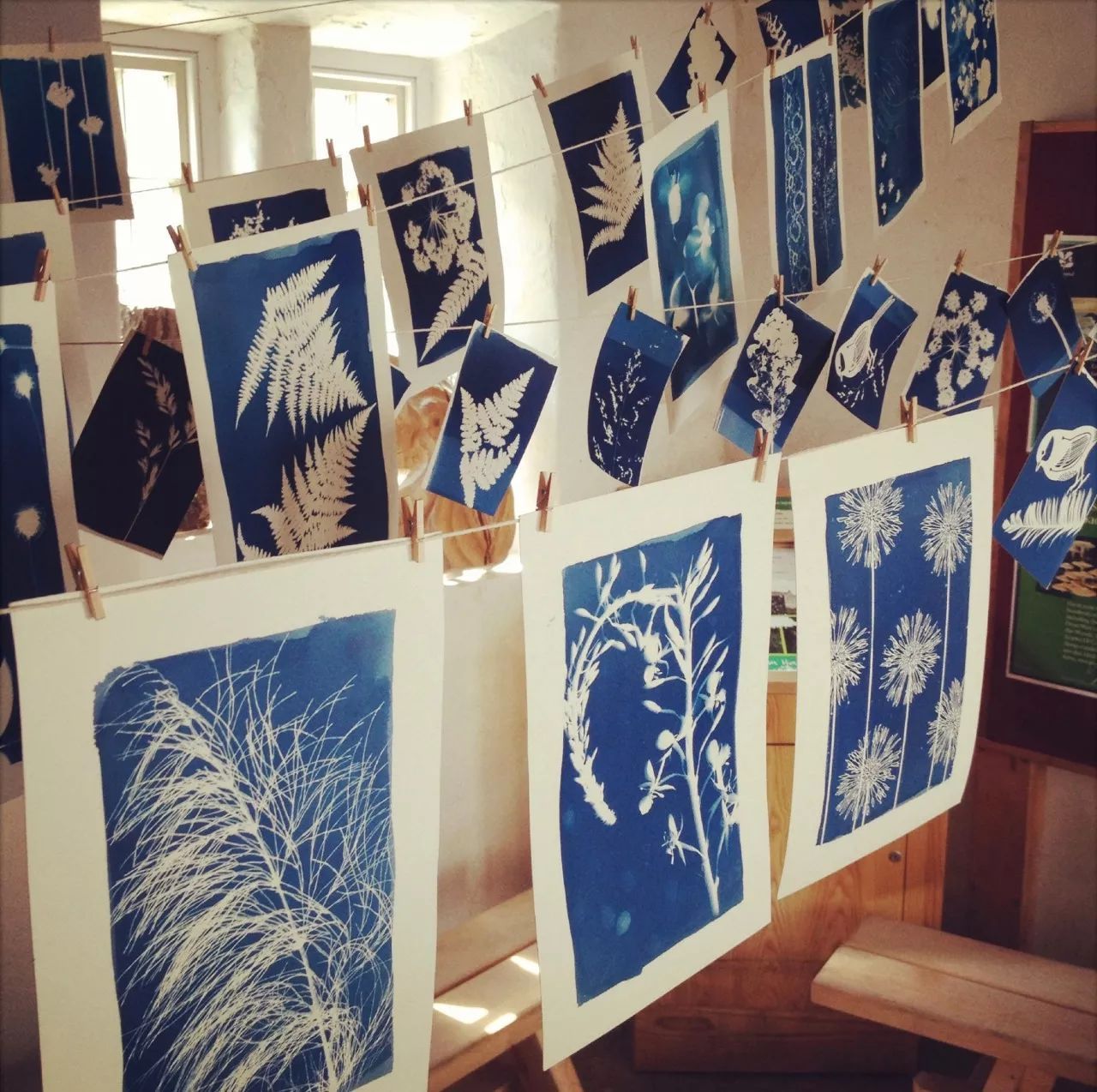 Cyanotype Set A5 Cyanotype Paper Refill | 10 Sheets | Advanced Trial Pack | For Bookmarks/Plant Specimens/Postcards