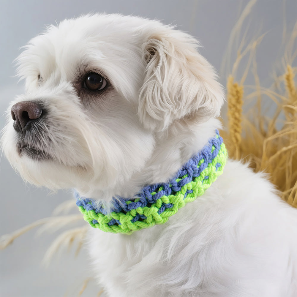 Square Pet Collar Weaving Kit Macrame Kit | Wide Style (Elegant & Cute) | Holiday DIY Handmade Gift | Beginner-Suitable