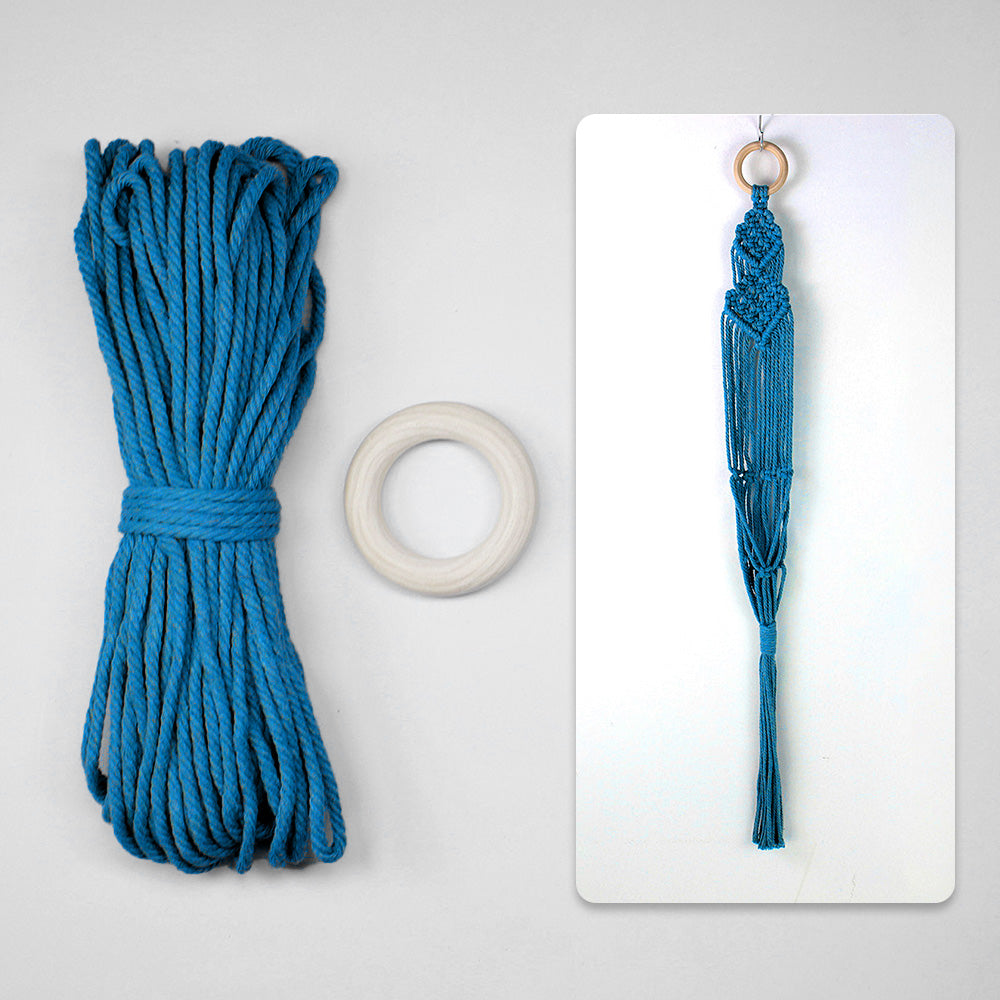 Macrame Kit Long Tassel Small Plant Hanger Weaving Kit | For Small-Medium Pots | Hanging Design | Space-Saving | Beginner-Friendly