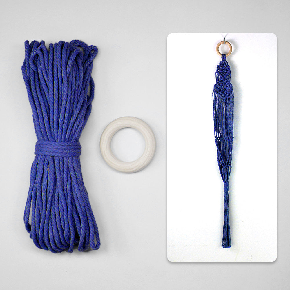 Macrame Kit Long Tassel Small Plant Hanger Weaving Kit | For Small-Medium Pots | Hanging Design | Space-Saving | Beginner-Friendly
