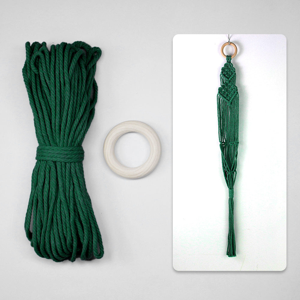 Macrame Kit Long Tassel Small Plant Hanger Weaving Kit | For Small-Medium Pots | Hanging Design | Space-Saving | Beginner-Friendly