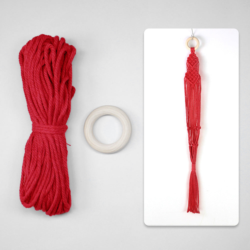 Macrame Kit Long Tassel Small Plant Hanger Weaving Kit | For Small-Medium Pots | Hanging Design | Space-Saving | Beginner-Friendly