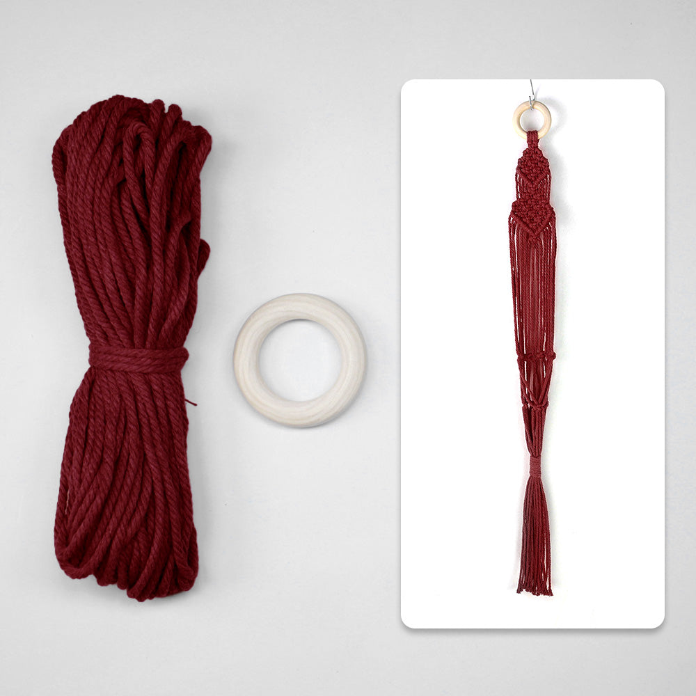 Macrame Kit Long Tassel Small Plant Hanger Weaving Kit | For Small-Medium Pots | Hanging Design | Space-Saving | Beginner-Friendly