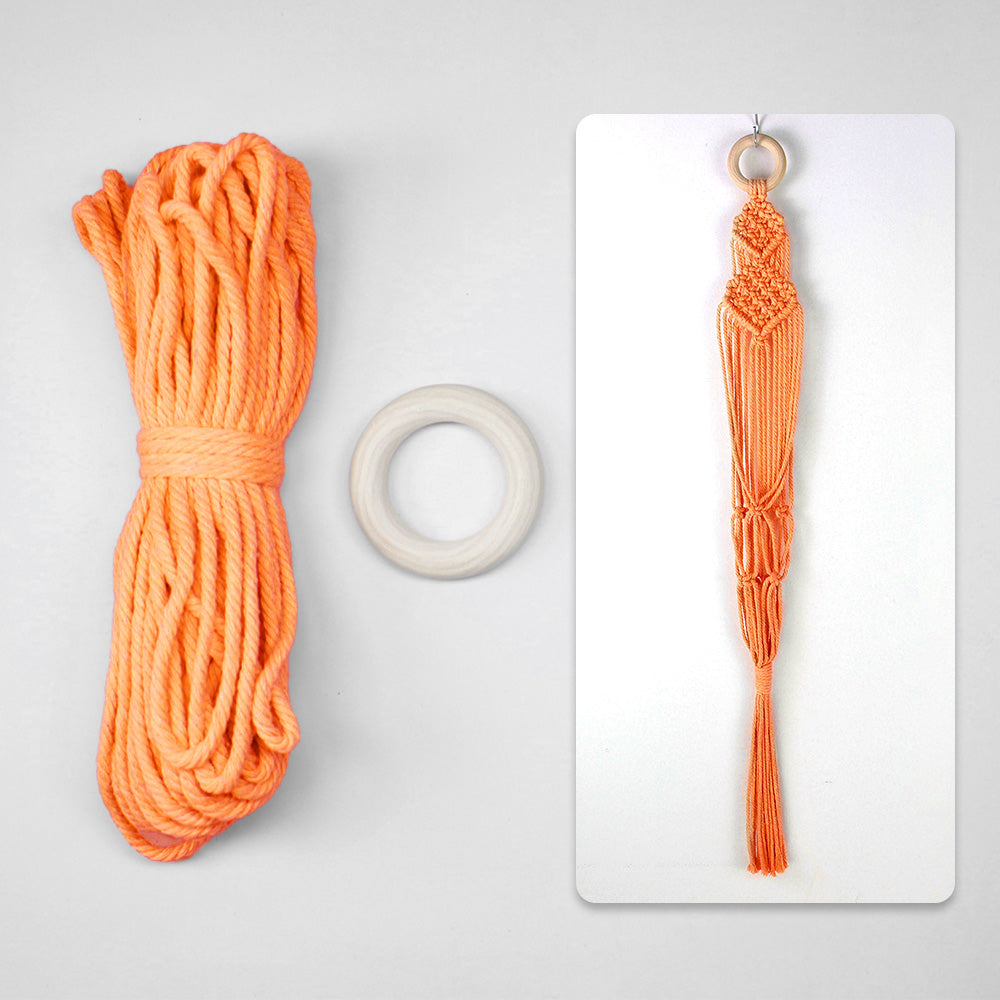 Macrame Kit Long Tassel Small Plant Hanger Weaving Kit | For Small-Medium Pots | Hanging Design | Space-Saving | Beginner-Friendly