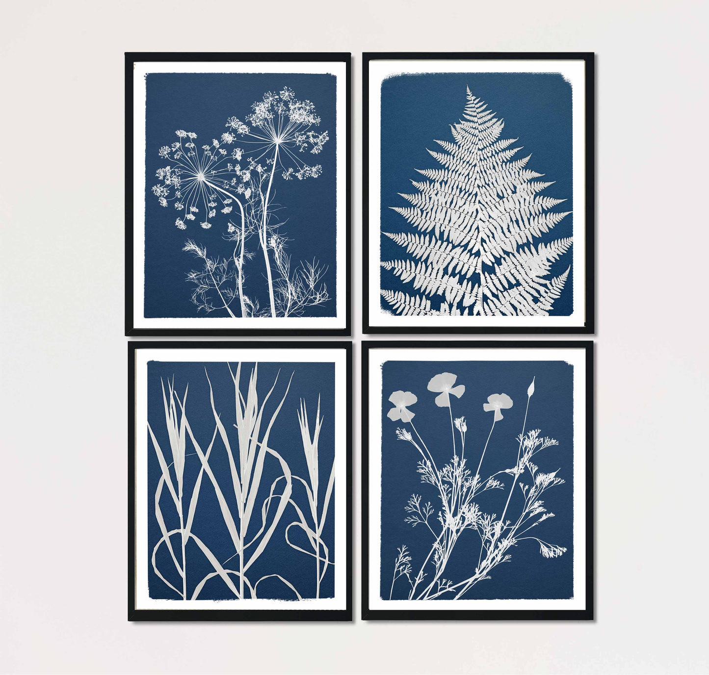 Cyanotype Set A5 Cyanotype Paper Refill | 10 Sheets | Advanced Trial Pack | For Bookmarks/Plant Specimens/Postcards