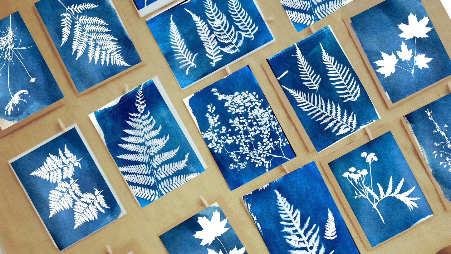 A6 Cyanotype Paper Refill (16 Sheets) Sun Art Paper Vin - Detail 10