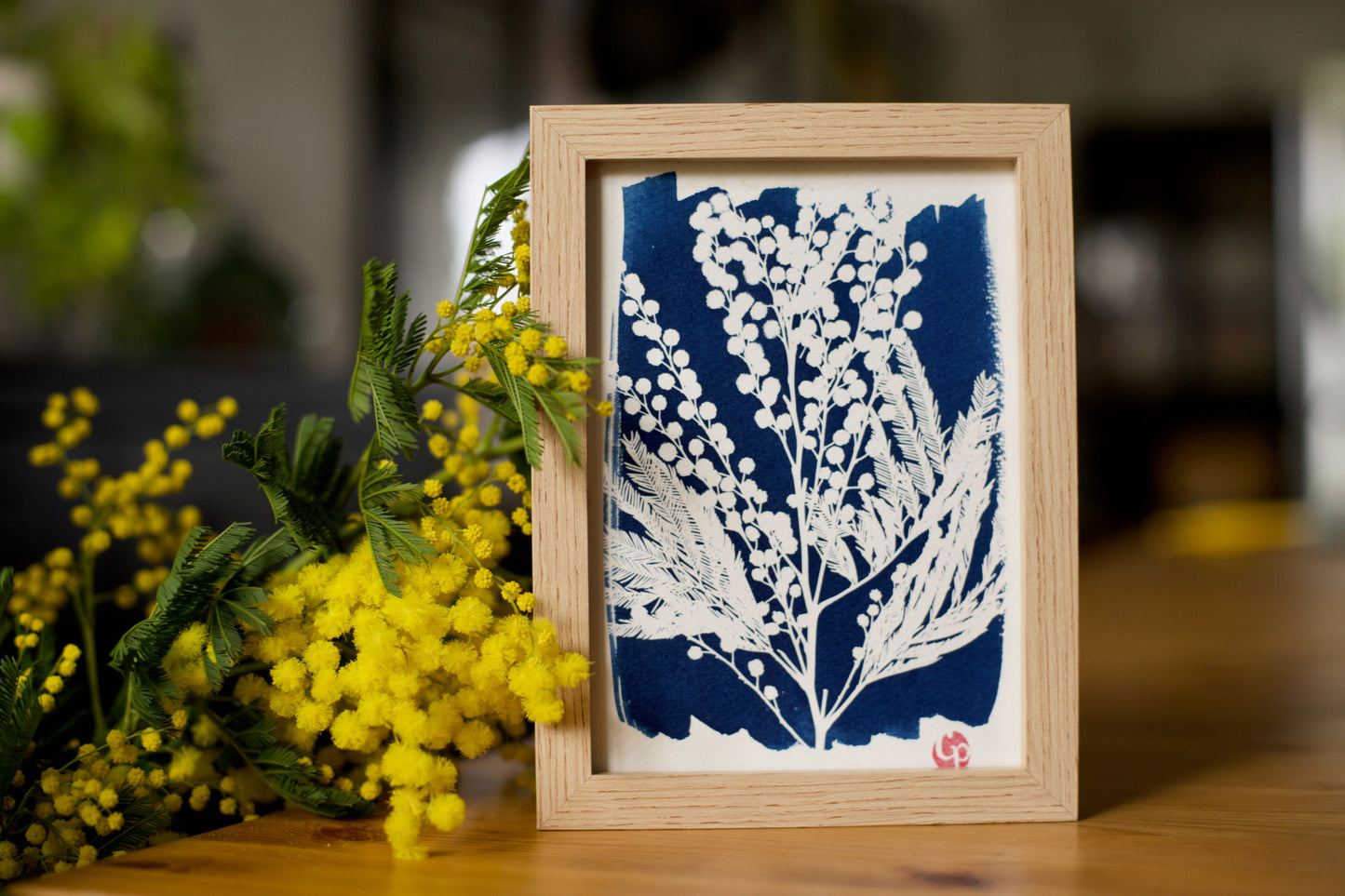 Cyanotype Set A5 Cyanotype Paper Refill | 12 Sheets | Sun Printing Paper | For Custom Business/Memorial Cards | Beginner-Friendly