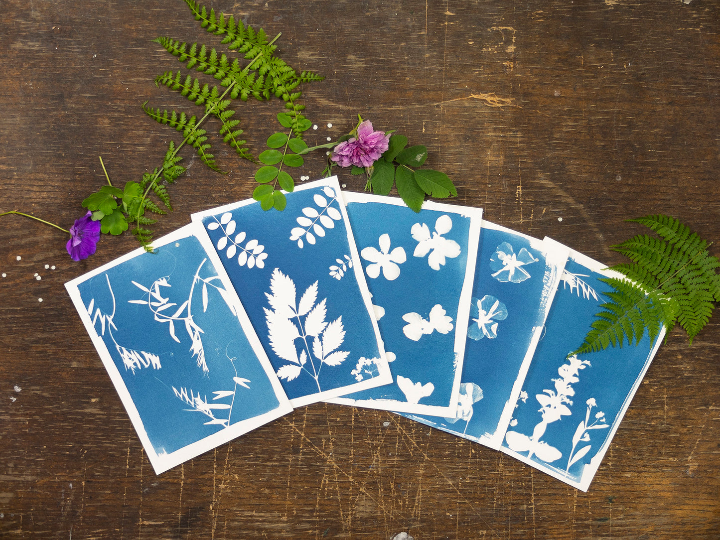 A6 Cyanotype Craft Kit Cyanotype Set | 4 Templates | Sun Printing Paper | For Parent-Child Activities/DIY Enthusiasts| For Bookmarks/Plant