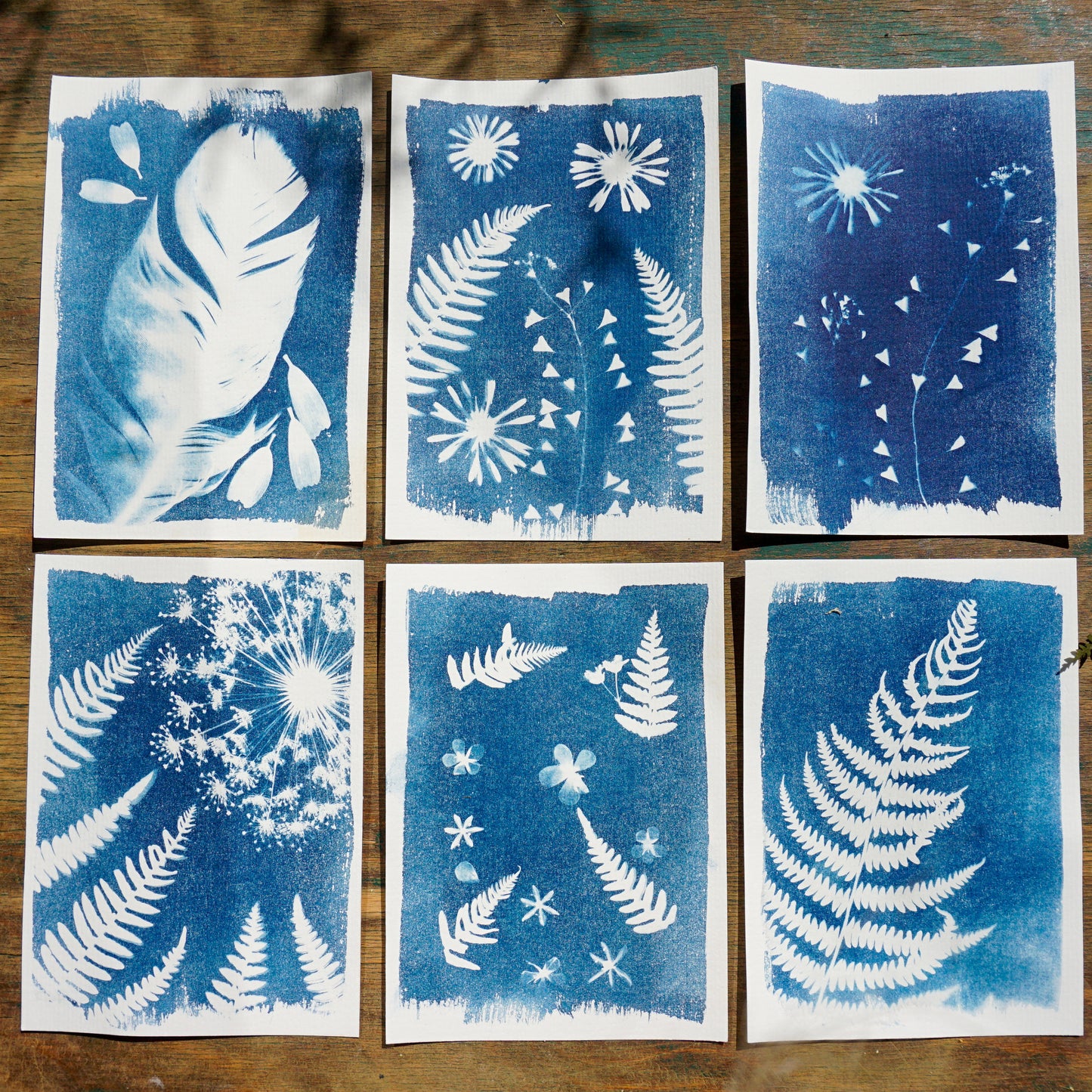 Cyanotype Set A5 Cyanotype Paper Refill | 10 Sheets | Advanced Trial Pack | For Bookmarks/Plant Specimens/Postcards