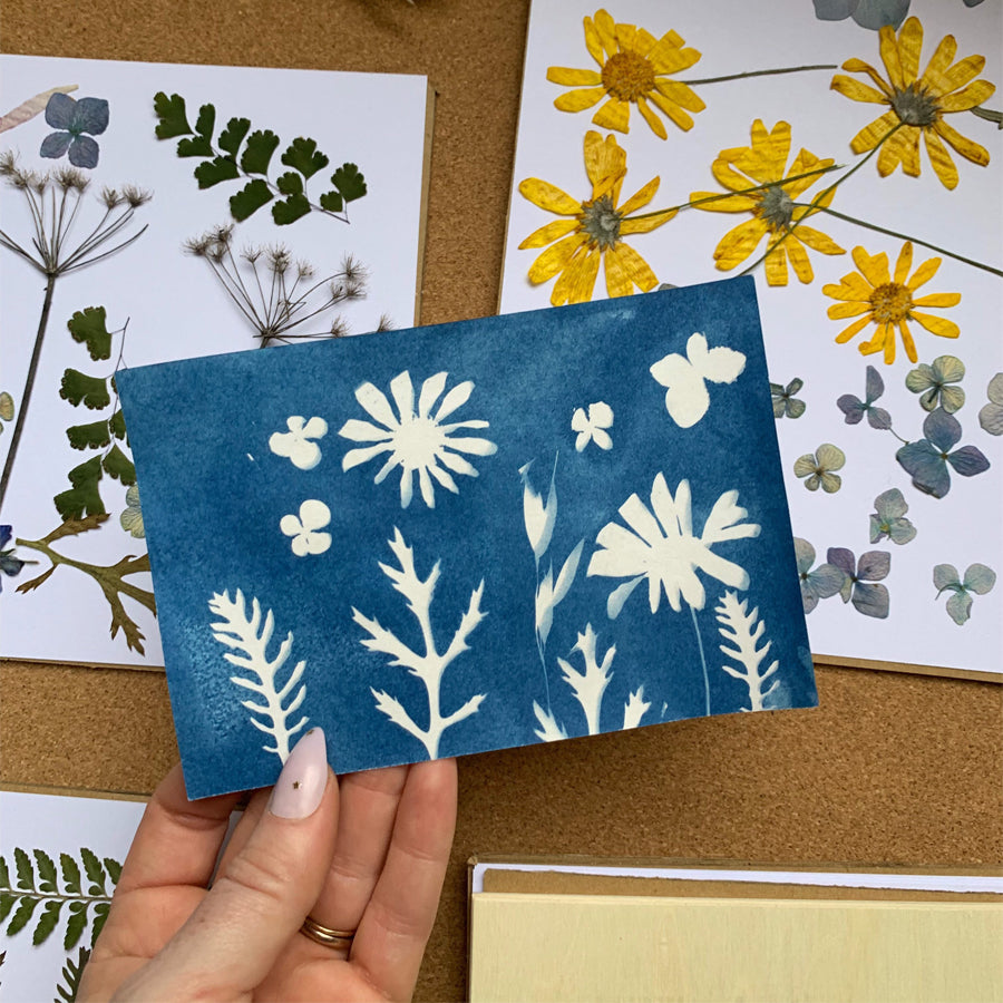 A4 Cyanotype Craft Kit Cyanotype Set | Sun Art Paper | 2 Cyanotype Sheets | For Photography/DIY Enthusiasts