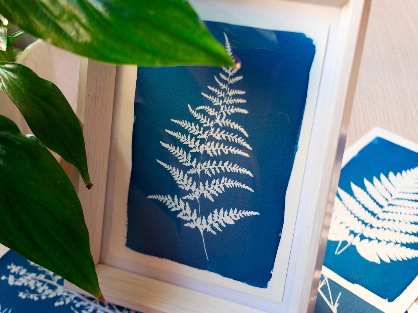 A4 Cyanotype Craft Kit Cyanotype Set | Sun Art Paper | 2 Cyanotype Sheets | For Photography/DIY Enthusiasts