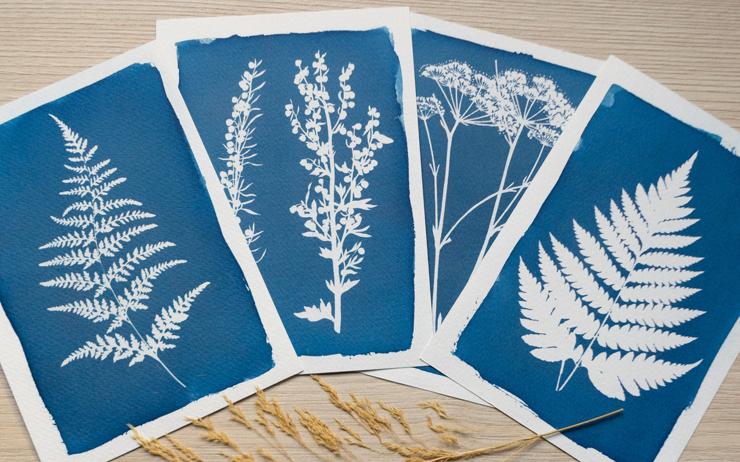 Cyanotype Set A5 Cyanotype Paper Refill | 10 Sheets | Advanced Trial Pack | For Bookmarks/Plant Specimens/Postcards