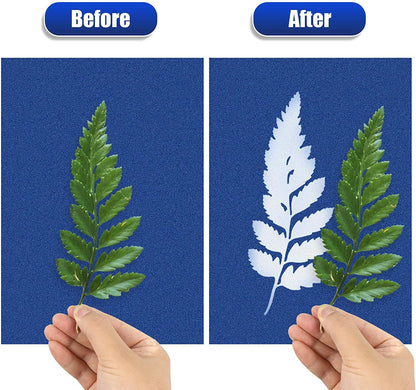 A6 Cyanotype Craft Kit Cyanotype Set | 4 Templates | Sun Printing Paper | For Parent-Child Activities/DIY Enthusiasts| For Bookmarks/Plant
