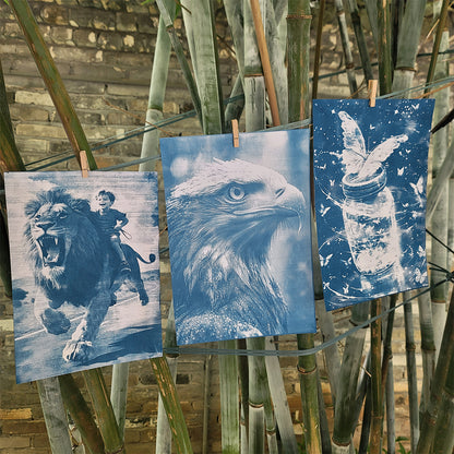 Cyanotype Set A4 Blank Cyanotype Film Kit 5-Sheet Trial Pack Custom Printable Patterns For Advanced DIY/Photography Enthusiasts