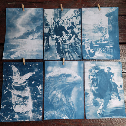 Cyanotype Set A4 Blank Cyanotype Film Kit 10-Sheet Value Pack Custom Printable Patterns For Advanced DIY/Photography Enthusiasts
