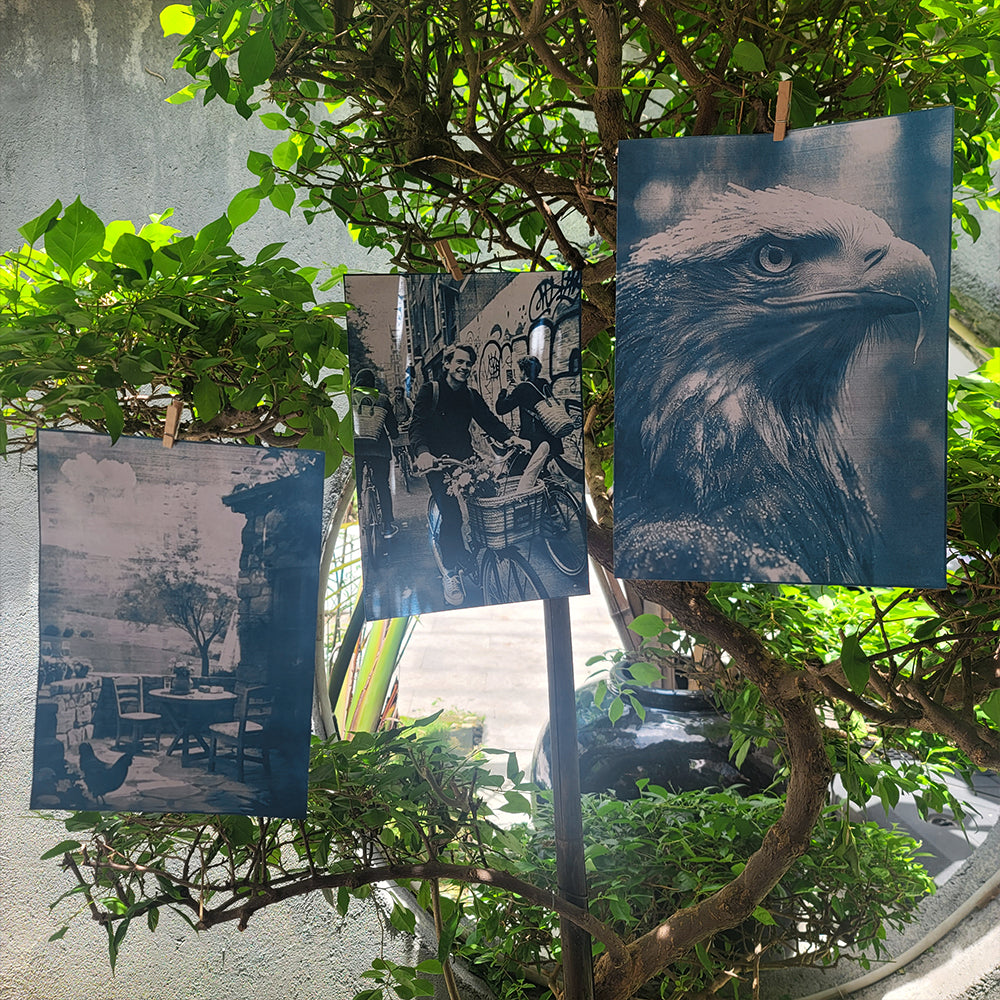 Cyanotype Set A4 Blank Cyanotype Film Kit 5-Sheet Trial Pack Custom Printable Patterns For Advanced DIY/Photography Enthusiasts