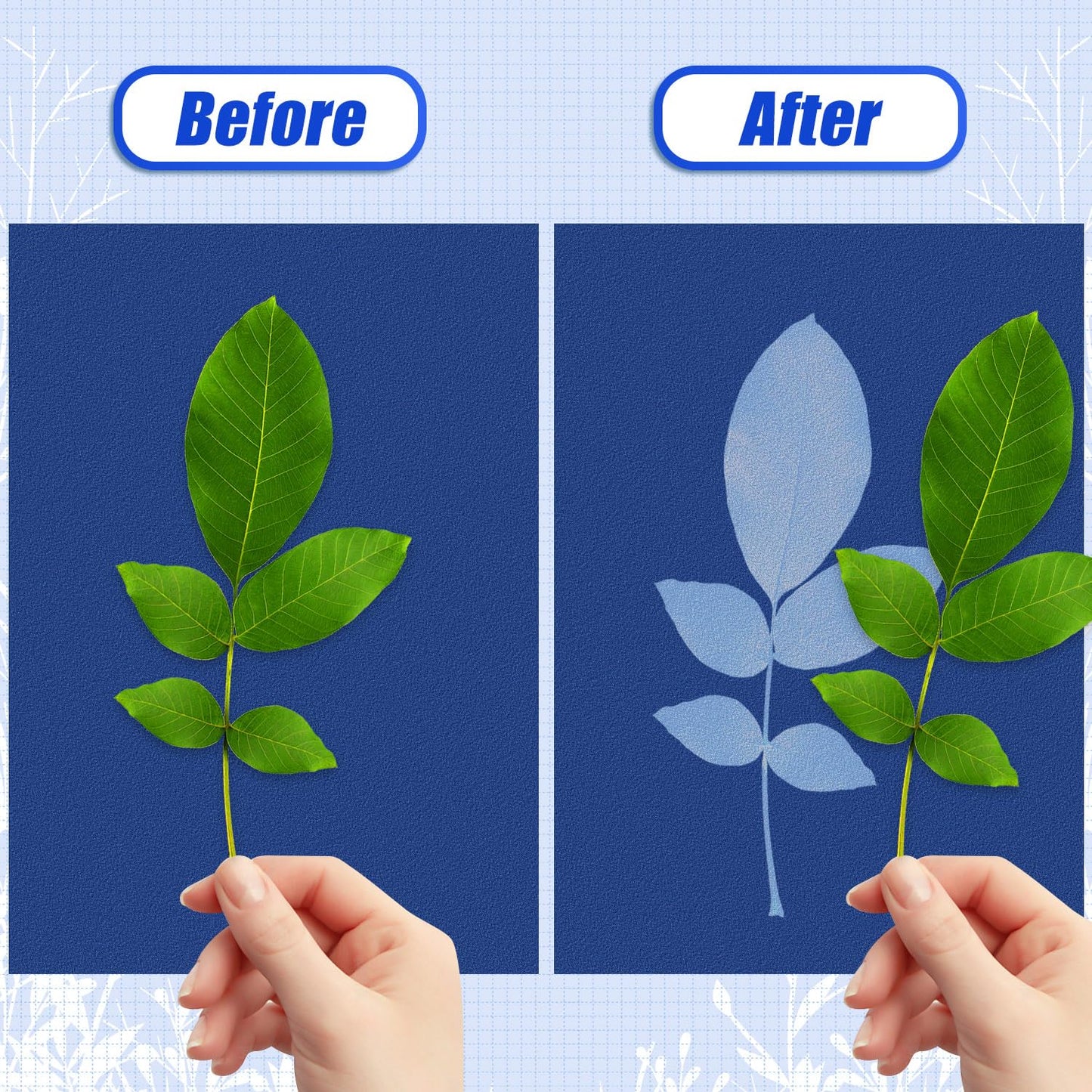 Cyanotype Set A6 Cyanotype Paper Refill - Detail 9