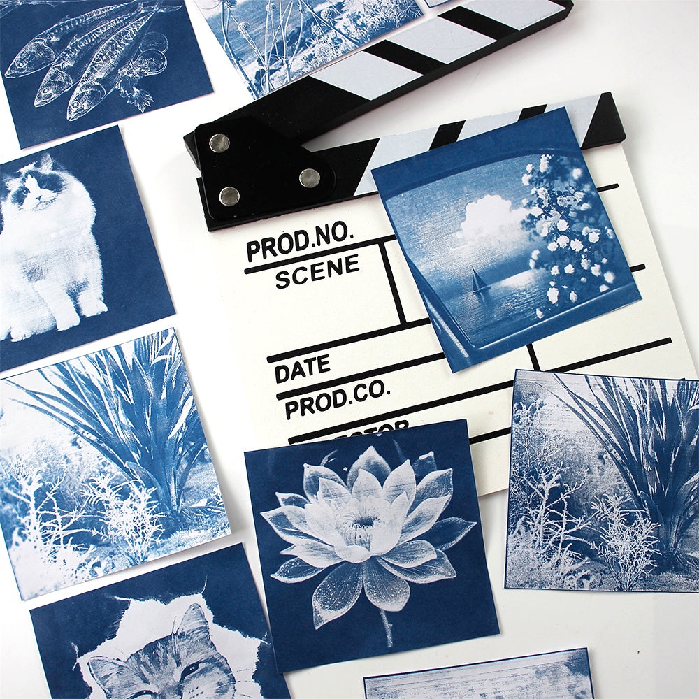 Square Cyanotype DIY Value Pack - 24 Sheets Sun Art Paper, Retro Printing/Mini Cyanotype Cards, For Beginners/Photography Lovers cyanotype set