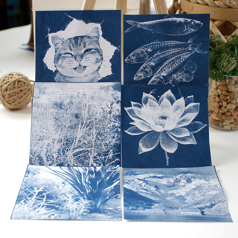 Square Cyanotype DIY Value Pack - 24 Sheets Sun Art Paper, Retro Printing/Mini Cyanotype Cards, For Beginners/Photography Lovers cyanotype set
