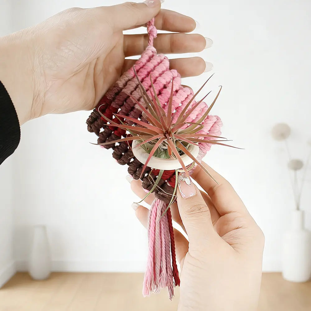 Macrame Kit for Beginners, Boho Pineapple Wall Hanger DIY Kit, Home Decor Gift