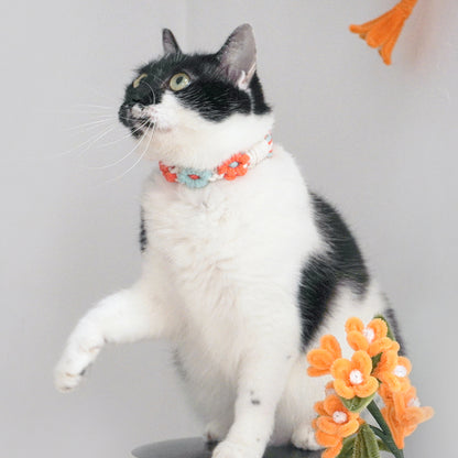 Macrame Kit Daisy Flower Pet Collar Weaving Kit | 3-Color Comfort Match | Adjustable Length | Pet Accessory | Beginner-Friendly