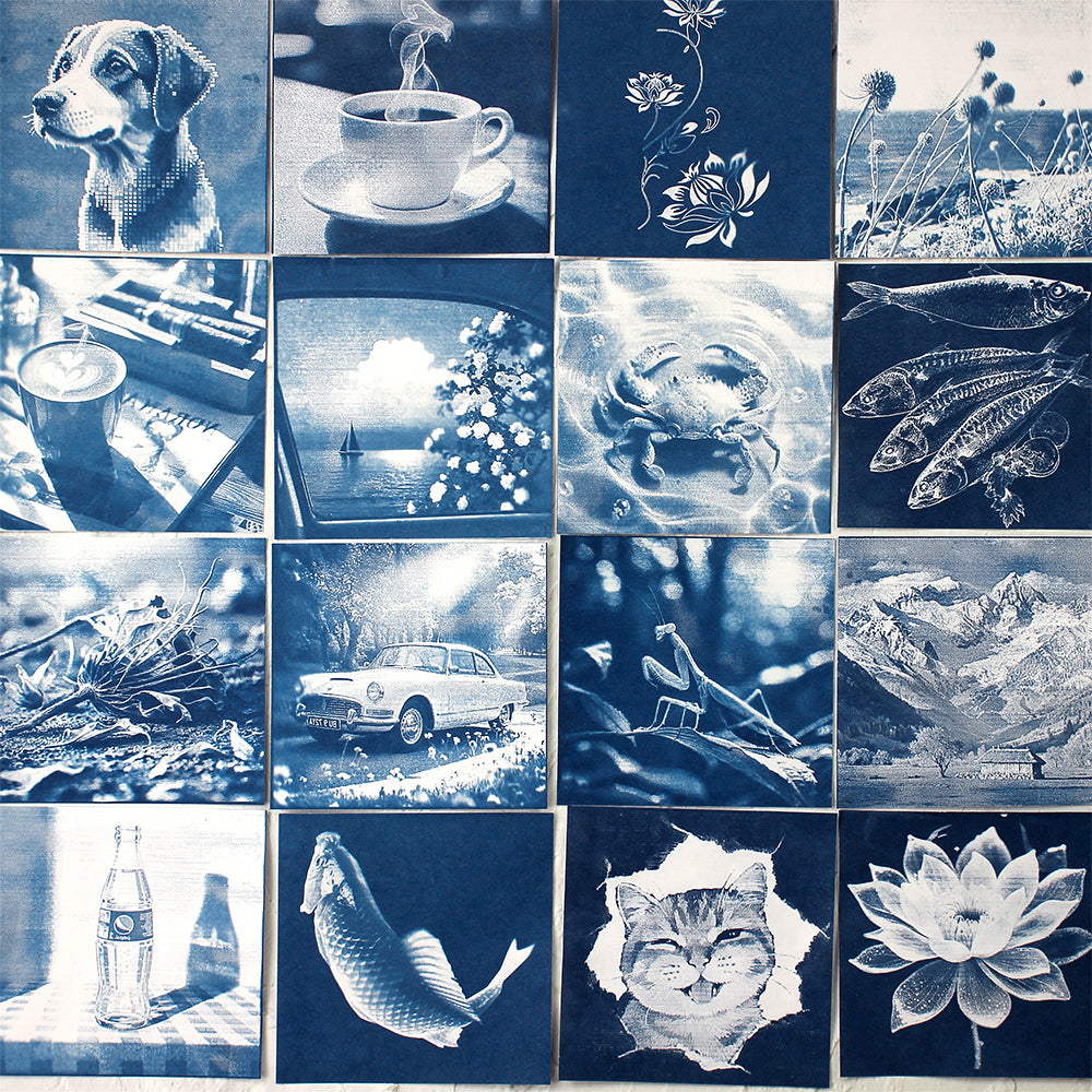 Square Cyanotype DIY Value Pack - 24 Sheets Sun Art Paper, Retro Printing/Mini Cyanotype Cards, For Beginners/Photography Lovers cyanotype set