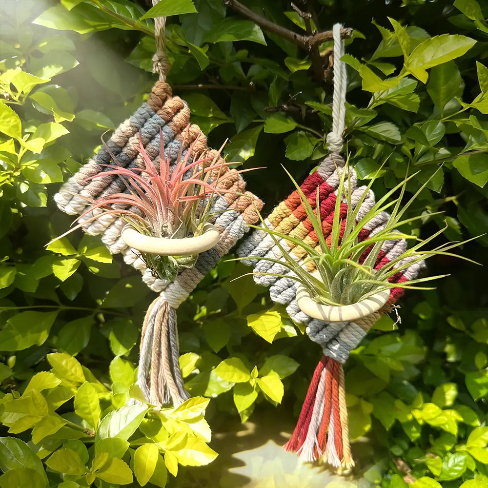 Macrame Kit for Beginners, Boho Pineapple Wall Hanger DIY Kit, Home Decor Gift