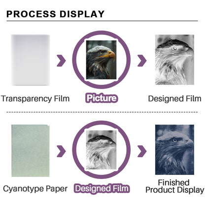 Cyanotype Set A4 Blank Cyanotype Film Kit 5-Sheet Trial Pack Custom Printable Patterns For Advanced DIY/Photography Enthusiasts