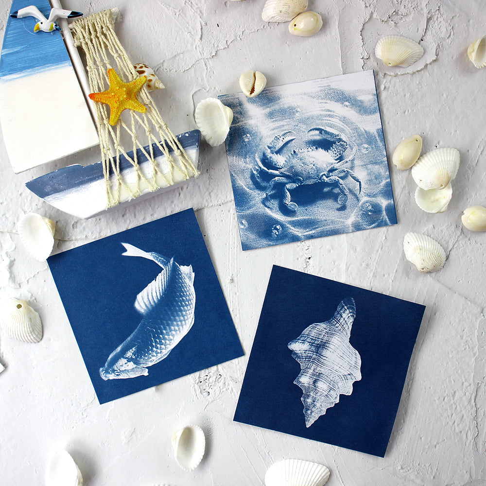 Square Cyanotype DIY Value Pack - 24 Sheets Sun Art Paper, Retro Printing/Mini Cyanotype Cards, For Beginners/Photography Lovers cyanotype set