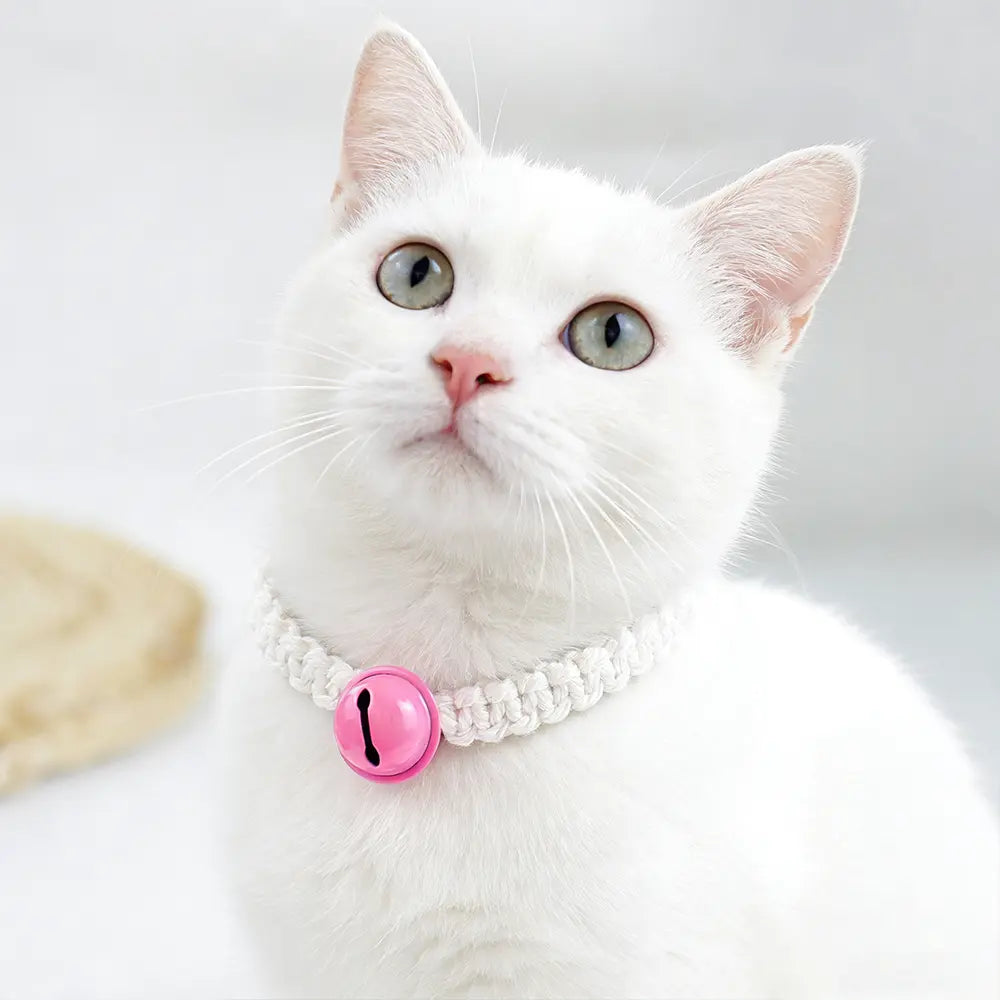 Macrame Kit for Beginners, Boho Pet Collar DIY Kit, Cat Dog Necklace Handmade Gift