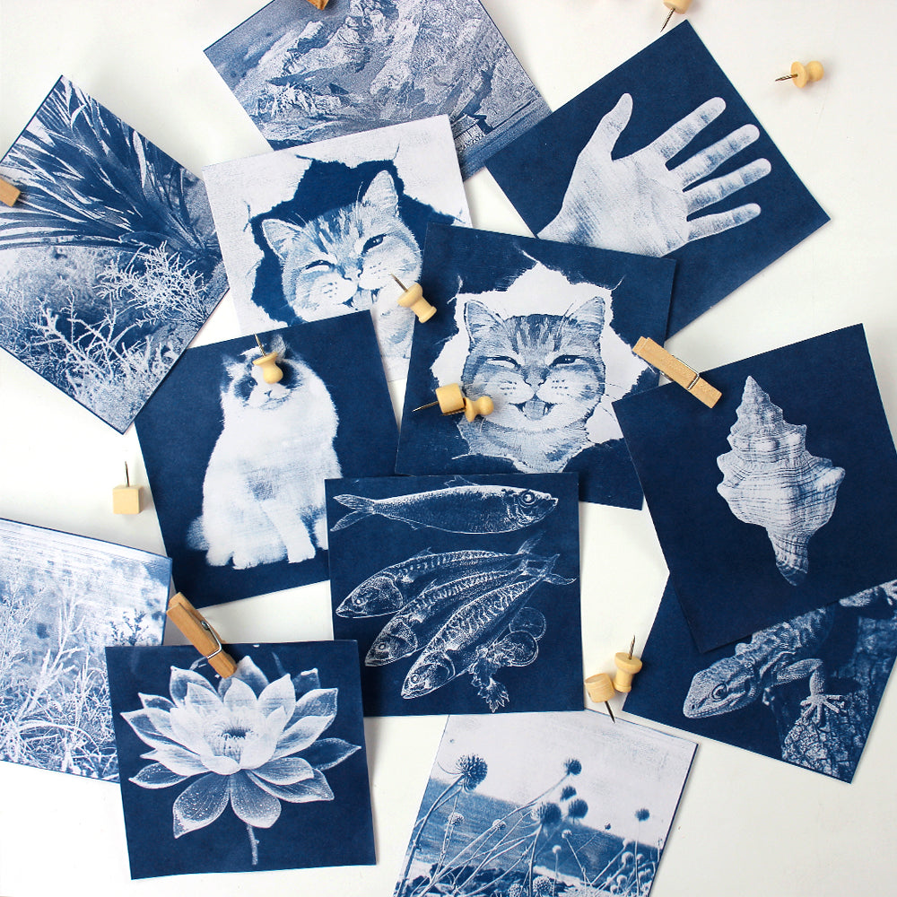 Square Cyanotype DIY Craft Kit - 12 Sheets 9.99.9cm Cyanotype Paper (Trial Pack), Sun Art Paper Retro Printing, For Mini Cyanotype Cards