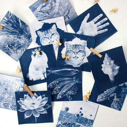 Square Cyanotype DIY Craft Kit - 12 Sheets 9.99.9cm Cyanotype Paper (Trial Pack), Sun Art Paper Retro Printing, For Mini Cyanotype Cards